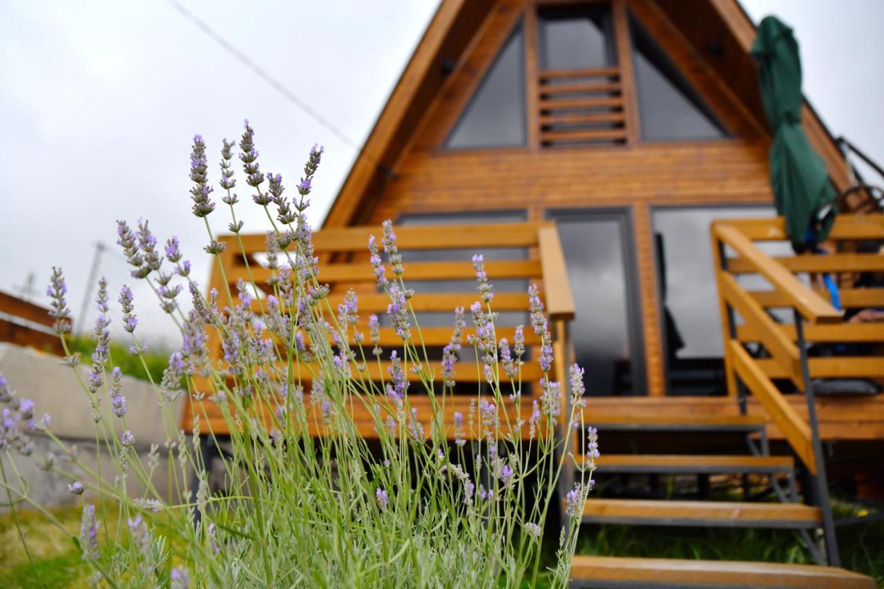 Kazbegi Spa Resort Cottages Luaran gambar